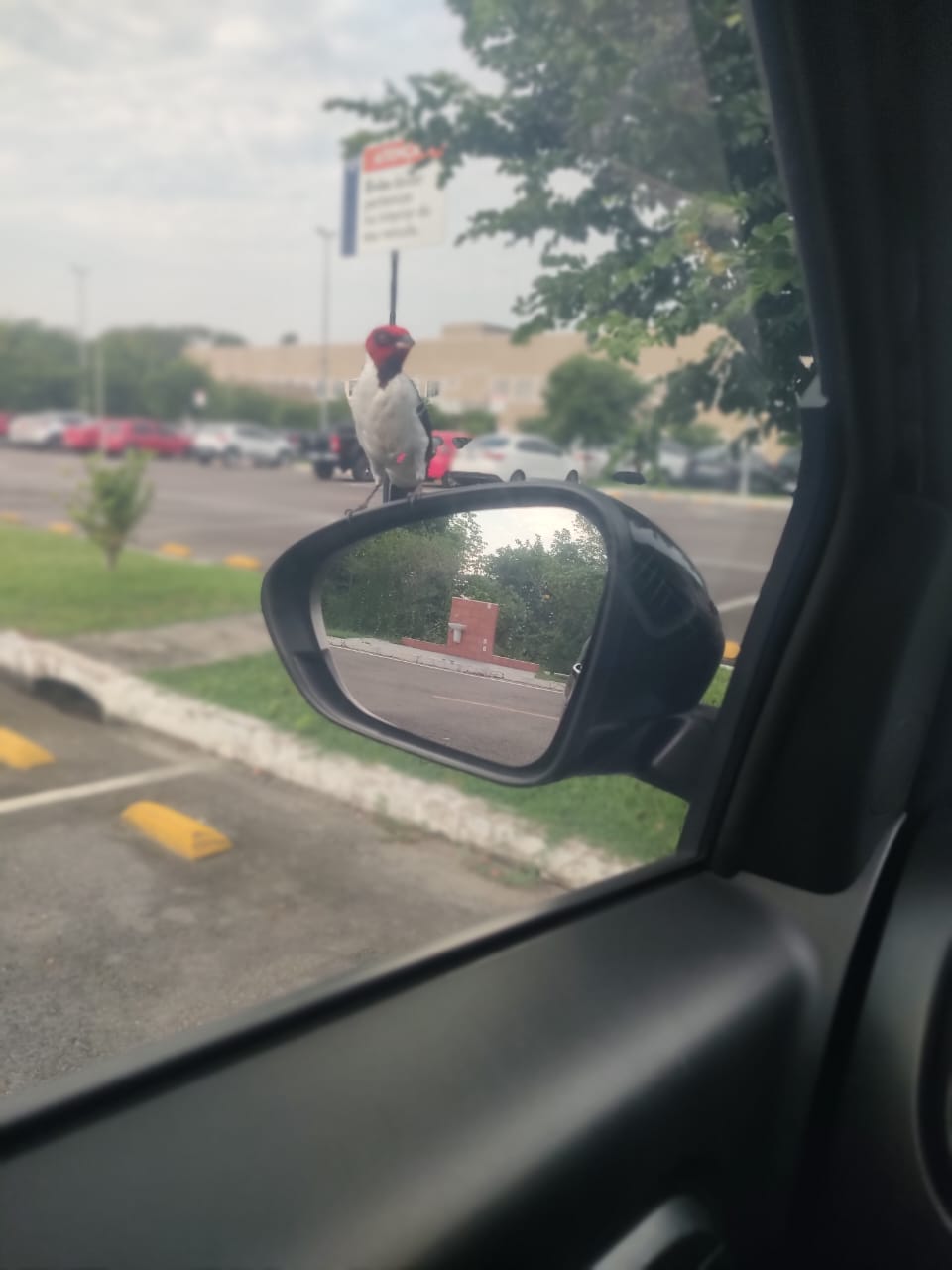 WhatsApp Image 2026-01-18 at 13.49.46.jpeg